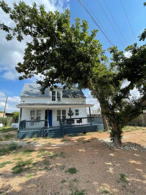 הוילה The Paddock House At Blanco Texas מראה חיצוני תמונה